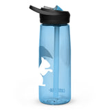 Sports water bottle