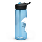 Sports water bottle