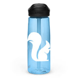 Sports water bottle