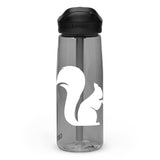 Sports water bottle