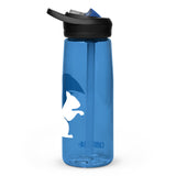 Sports water bottle