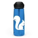 Sports water bottle